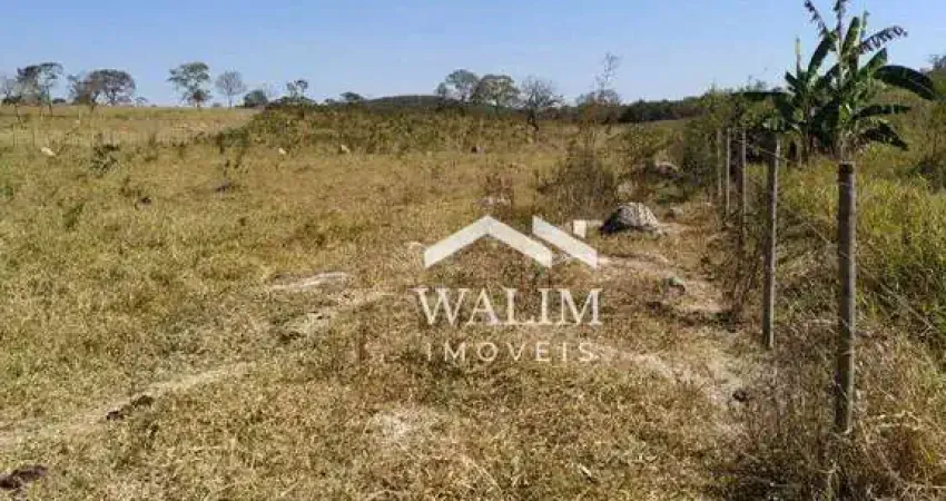 Terreno Rural de 15 Hectares – Topografia Excelente e Infraestrutura Completa!