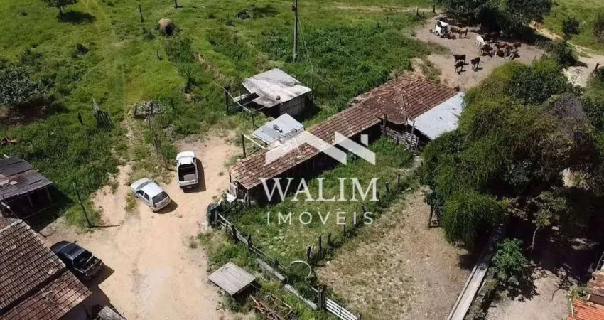 Oportunidade de Investimento Rural: Fazenda Completa em Itaguara, MG – 160 Hectares Próximos à BR-381