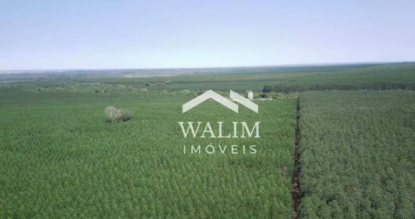 Fazenda à venda, 4 m² por R$ 180.000.000,00 - Zona Rural - Araguaiana/MT