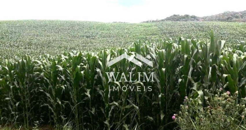 Oportunidade Única! Fazenda Produtiva de 2.320 alqueires no Vale do Ribeira - SP