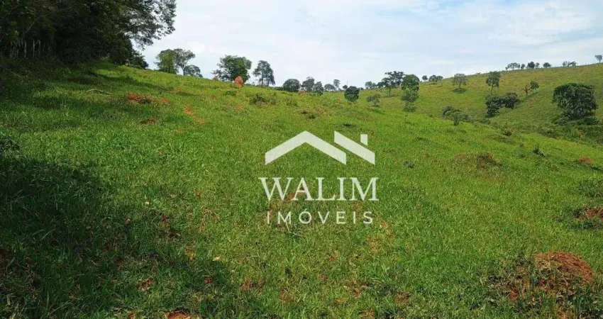?? Fazendinha 32 Hectares em Oliveira/MG - Charme Rural e Potencial Produtivo ??