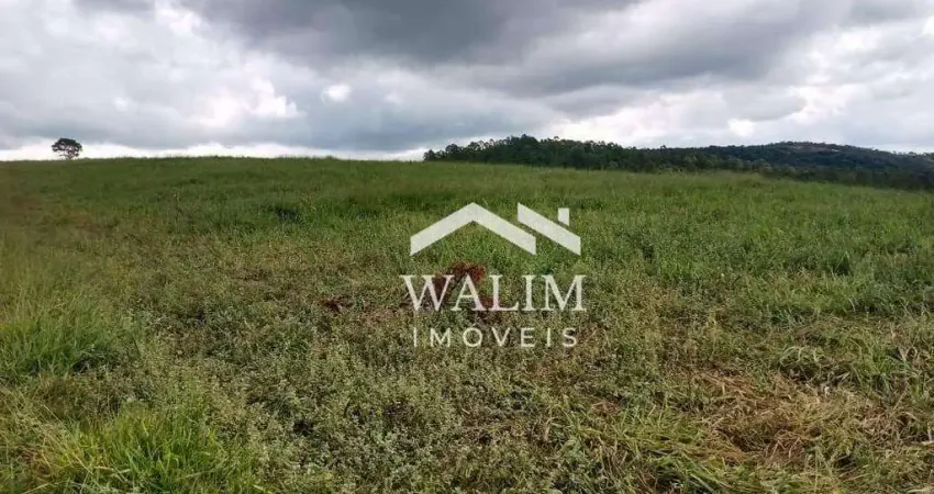 Fazenda à Venda entre Itaguara e Itatiaiuçu/MG – 110 Hectares