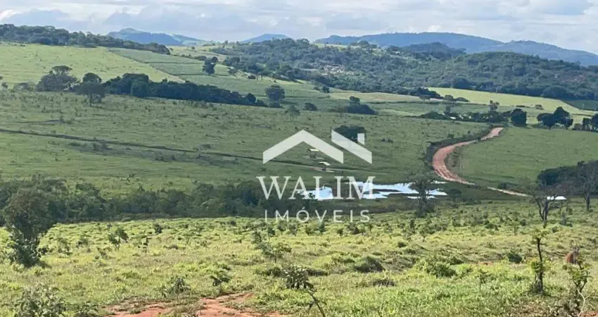 Fazenda de Alto Padrão em Campo das Vertentes, MG – Oportunidade Única para Investidores Exigentes!