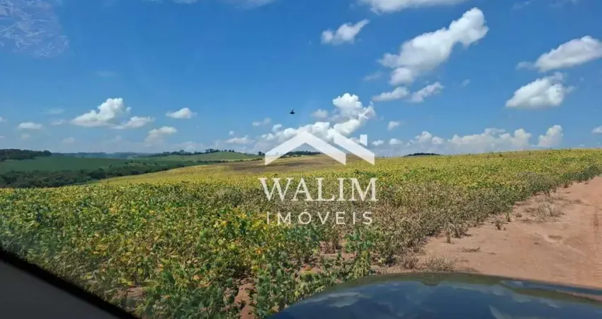 Fazenda de 484 Hectares em Carmo do Rio Claro, MG – Potencial Máximo para Lavouras e Investidores do Agronegócio