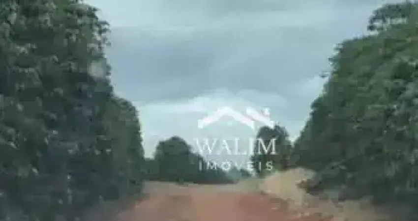 Fazenda com 2 salas à venda na Zona Rural, Oliveira 