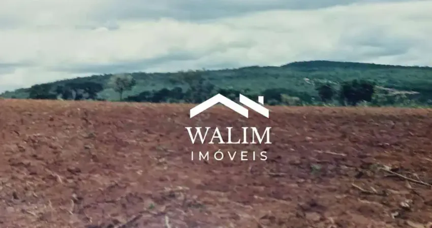 Fazenda de 78 hectares à venda próximo a são josé de almeida – terra fértil, água abundante e lucro imediato!