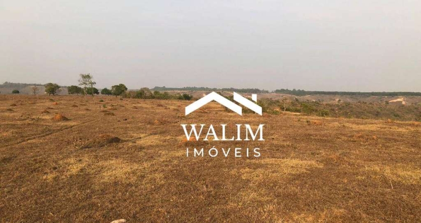 FAZENDA 363 HECTARES À VENDA ENTRE PIUMHI E BAMBUÍ  MG
