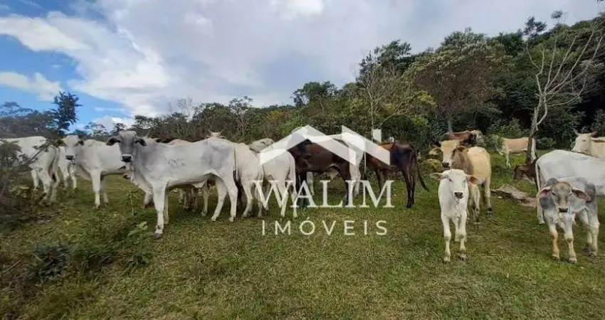Terreno/fazenda à venda - 504 - hectares, conceição do mato dentro/mg