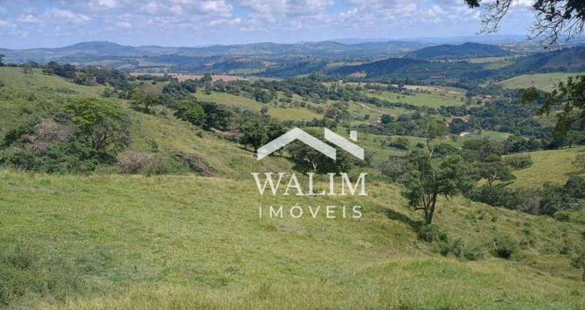 Terreno à venda, 300000 m² por R$ 650.000,00 - Centro - Piracema/MG