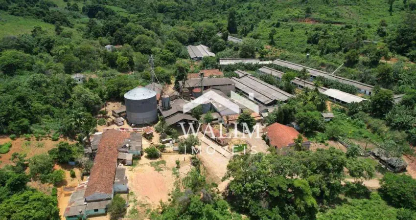 Fazenda com 4660 Hectares à venda, R$ 186.600.000 - Rio Casca/MG