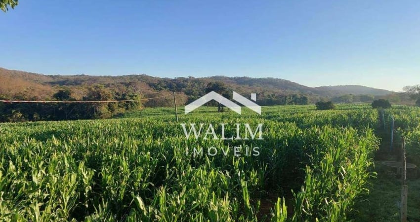 FAZENDA À VENDA EM CURVELO, MG – 521 HECTARES DE OPORTUNIDADE!
