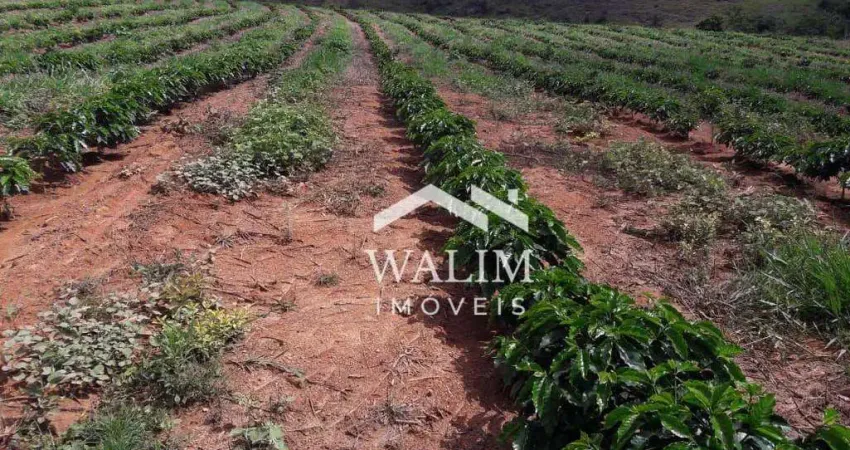 Fazenda à venda na Zona Rural, São Gonçalo do Sapucaí 