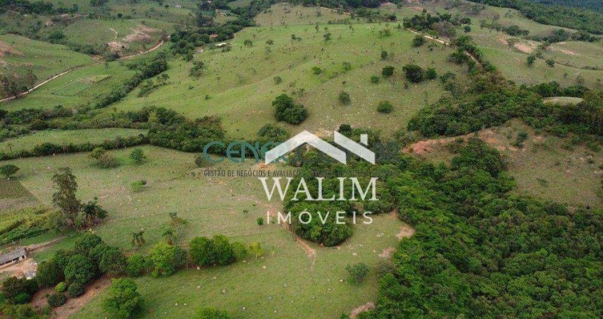 ???? FAZENDA À VENDA COM 96 HA EM BONFIM/MG – PRODUTIVIDADE, BELEZA E SUSTENTABILIDA