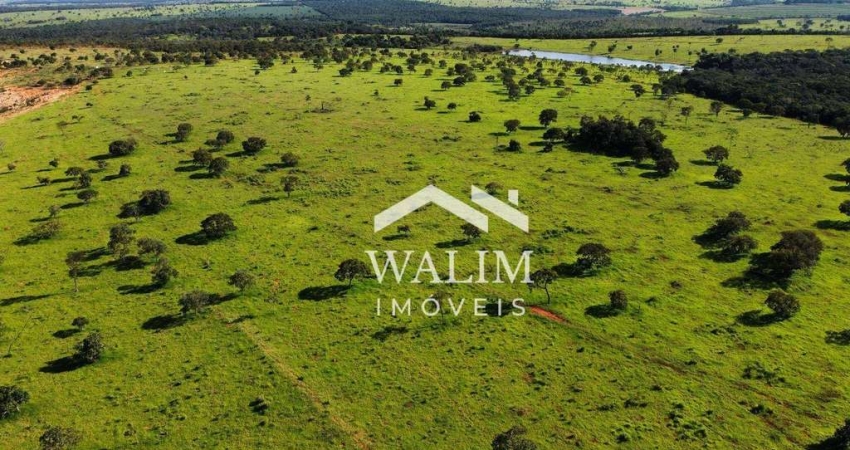 Fazenda à venda na Zona Rural, Abaeté 
