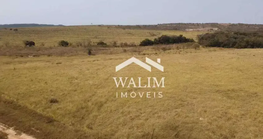 EXCLUSIVO! FAZENDA DE 650 HECTARES EM FELIXLÂNDIA (MG) – OPORTUNIDADE NO AGRONEGÓCIO!