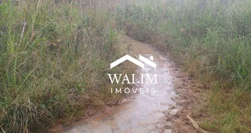 TERRENO DE 32 HECTARES EM OLIVEIRA/MG - NATUREZA E POTENCIAL AGROPECUÁRIO! ??