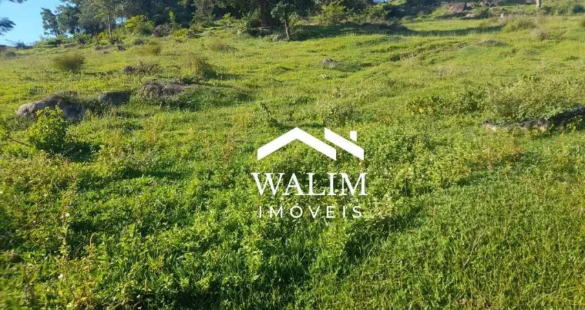 ?? fazenda à venda de alto potencial agropecuário, região de formiga a santo antônio do monte, mg, 204 hectares