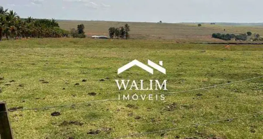 ?? FAZENDA DE PECUÁRIA DE ALTO DESEMPENHO – GARÇA/SP ?? OPORTUNIDADE PARA INVESTIDORES QUE BUSCAM ESCALA E PRATICIDADE
