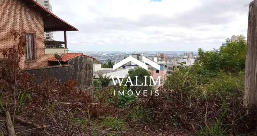 Lote Premium à venda no Santa Lúcia/BH, 372 m²: Vista Deslumbrante, Localização Nobre e Potencial Construtivo Ilimitado – Oportunidade para Construtor