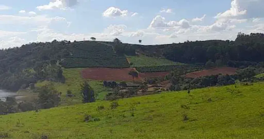 ? Fazenda  cafeeira e leiteira à venda com Potencial de Expansão – 155 Hectares | São José da Barra – MG | R$ 17 Milhões