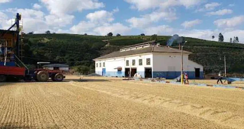 ? Fazenda Cafeeira Pronta em Carmo de Minas – 127 Hectares | 400 Mil Pés de Café | Produção de Alta Qualidade!