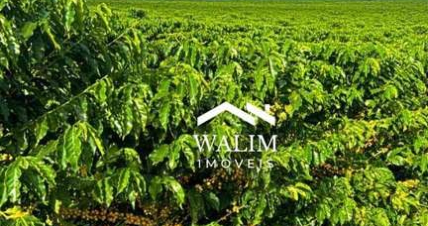 ?? FAZENDA DE CAFÉ ALTA PRODUTIVIDADE À VENDA 78 Hectares, BOA ESPERANÇA– PORTEIRA FECHADA!