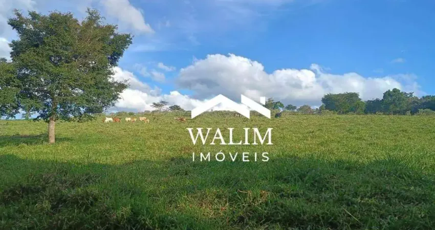 ?? Terreno com 50 hectares à venda em Passa Tempo – MG!