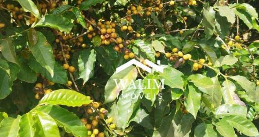 ?? FAZENDA CAFEEIRA À VENDA PRODUTIVA À VENDA | 236 HECTARES | MG, SUL DE MINAS, TRÊS CORAÇÕES