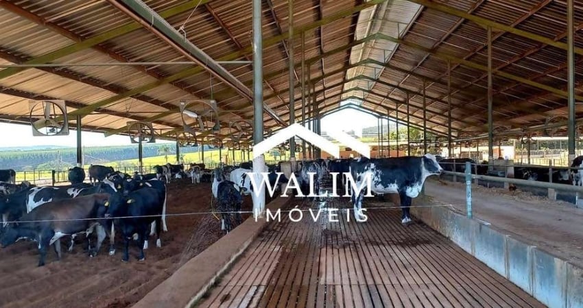 ?? FAZENDA LEITEIRA MODELO À VENDA – 148 HECTARES – POMPÉU/MG