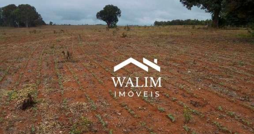???? FAZENDA À VENDA – 1.100 HECTARES – NEPOMUCENO/MG – R$ 110 MILHÕES