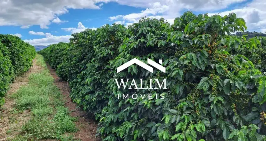 ?? fazenda cafeeira produtiva à venda, na serra da canastra – vargem bonita/mg