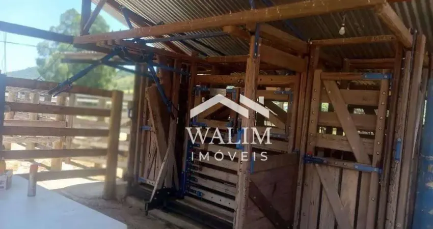 Fazenda com 2 salas à venda na Zona Rural, Cláudio 