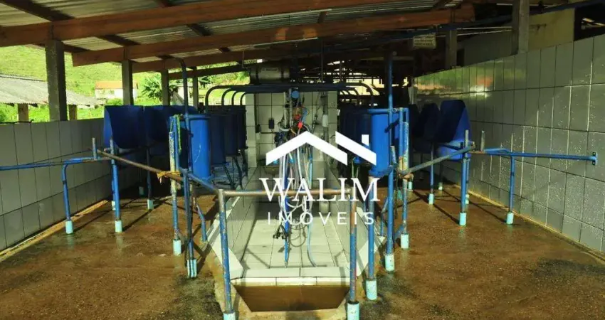 Fazenda leiteria, café, mista, à venda, r$6.400.000,00,  314 hectares em liberdade, mg