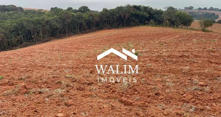 Fazenda à venda  citros, café ou lavoura branca – 45 alqueires paulistas, 109 hectares