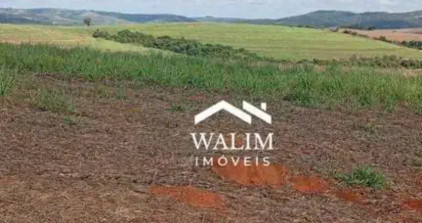 Fazenda de 280 hectares à venda em bambuí – mg | área agrícola e pastagens formadas