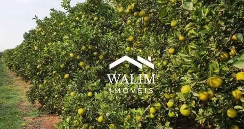 Fazenda citros, exclusiva à venda,  1.300 alqueires paulista!!