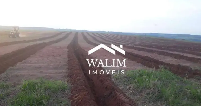 ?? fazenda de café e pecuária – região de garça/sp 325 alqueires (786 hectares) – dupla aptidão – porteira fechada