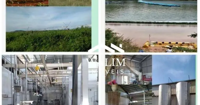 ?? fazenda frigorífico – 60.388 hectares, ?? r$ 650.000.000,00 (seiscentos e cinquenta milhões de reais)