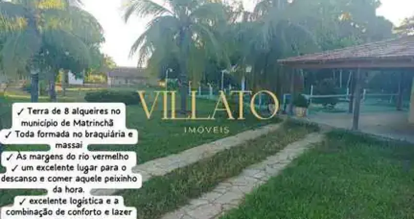 Chácara / sítio com 3 quartos à venda na Rua João Artiaga, 22, Setor Central, Matrinchã