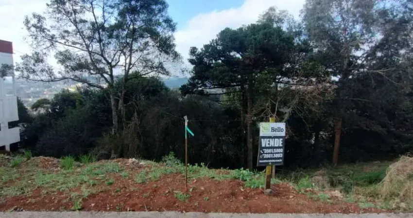 Terreno à venda na Salgado Filho ( Prolongamento ), 1, Bello, Caçador