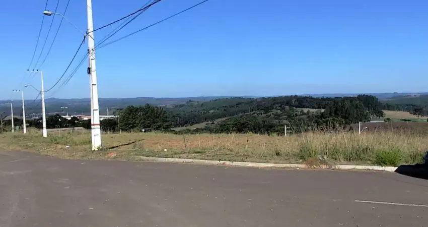 Terreno comercial à venda na Rodovia Honorino Moro, 3, Champagnat, Caçador