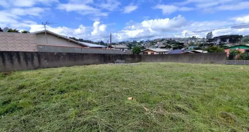 Terreno à venda na Octacilio Trindade Cordeiro, 2, Martello, Caçador