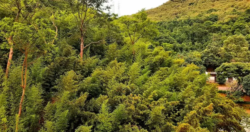 Apartamento com 2 quartos à venda na Rua Noronha Torrezão, 335, Santa Rosa, Niterói