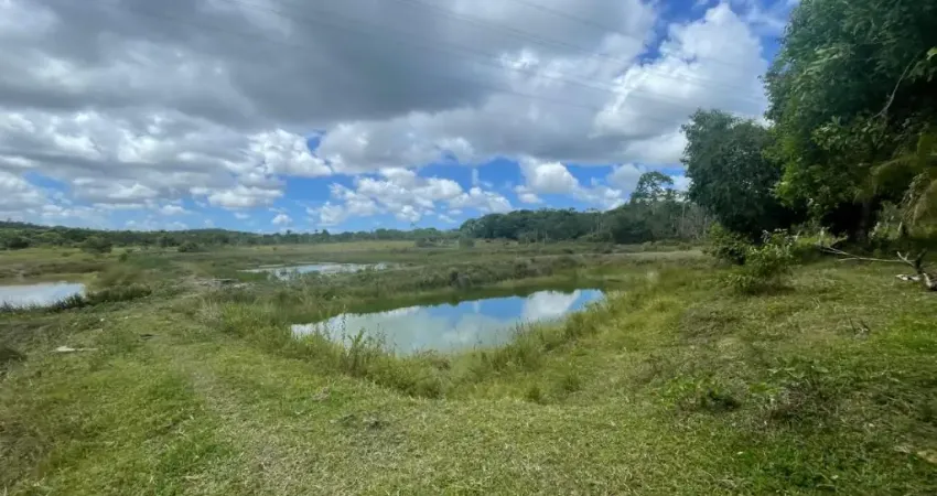 Vende-se Sítio com Criatório de Peixes, Casa Principal e Áreas de Lazer