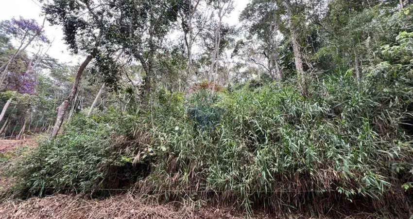 Terreno dos Sonhos em Pessegueiros, RJ