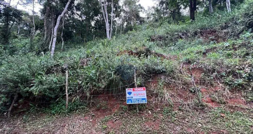 Terreno dos Sonhos em Pessegueiros, RJ