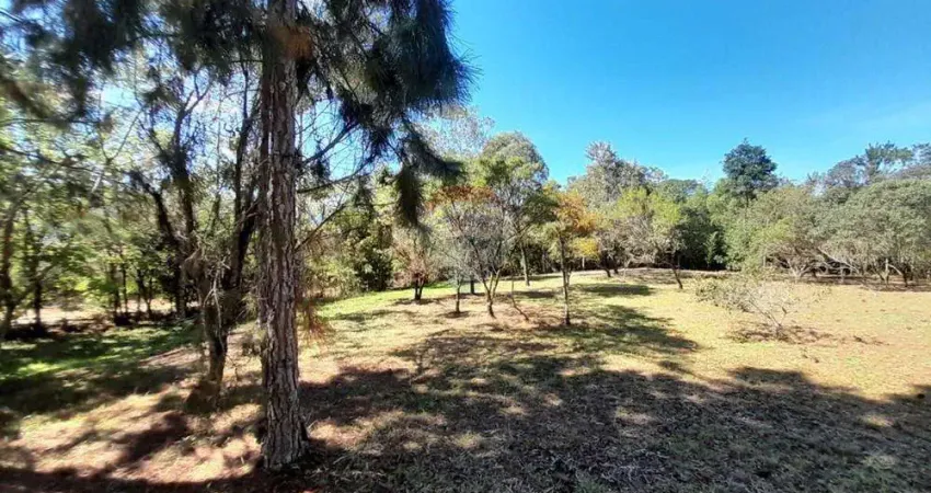 Terreno Plano - Vale dos Cedrinhos - Amacedrinhos
