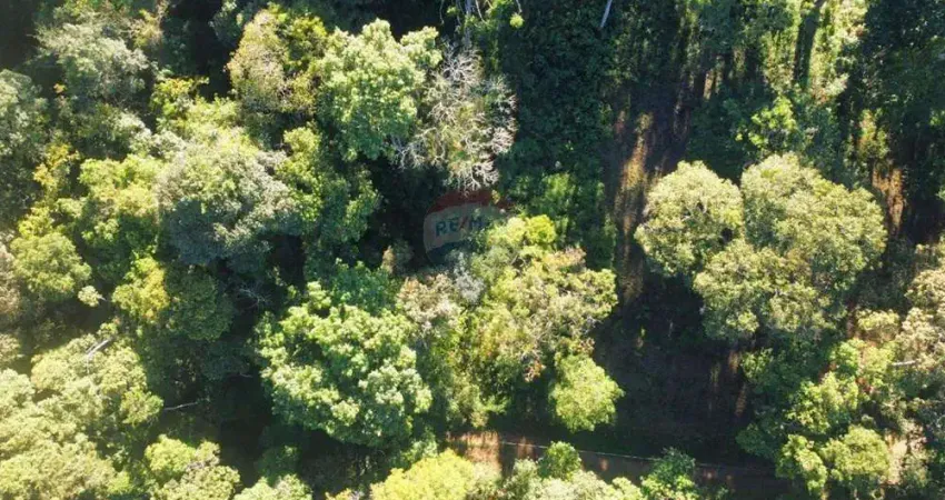 Terreno à venda na Alameda do Bambuzal, 70, Posse, Teresópolis