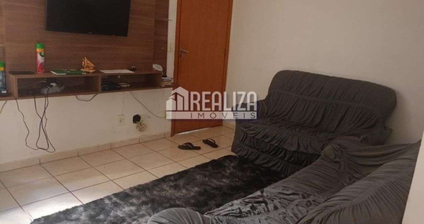 Apartamento para alugar no Residencial Palmeiras, Uberaba