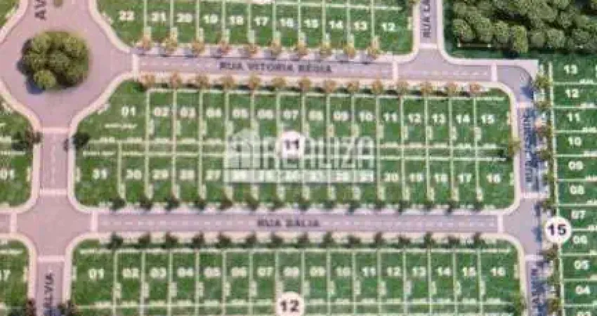 Terreno a venda no condominio exclusivo no bairro recreio dos bandeirantes em uberaba